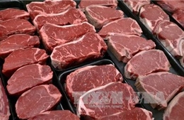 Cục Thú y lý giải về thịt bò Úc, Mỹ nhập khẩu giá siêu rẻ 